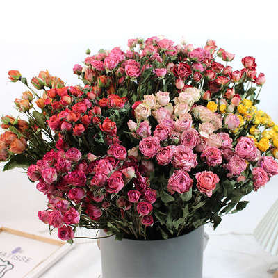 2023新品多头玫瑰干花束真花风干学生校园手工干花材diy中空相框