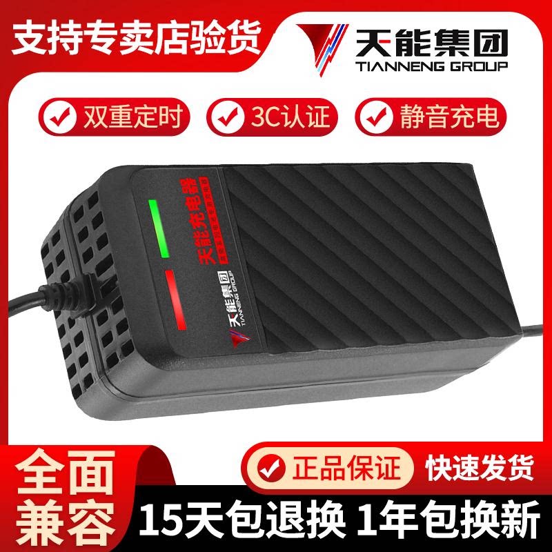 哈啰充电器小48v12a60v20ah72v32a40a50a60a电瓶公电动车三轮插