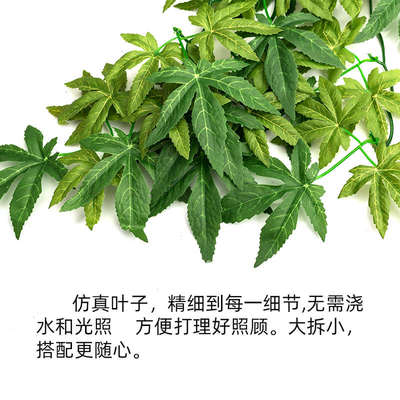 Reptizoo爬虫饲养箱鱼缸造景爬宠仿真植物蜥蜴龟蛇缸装饰藤蔓挂叶
