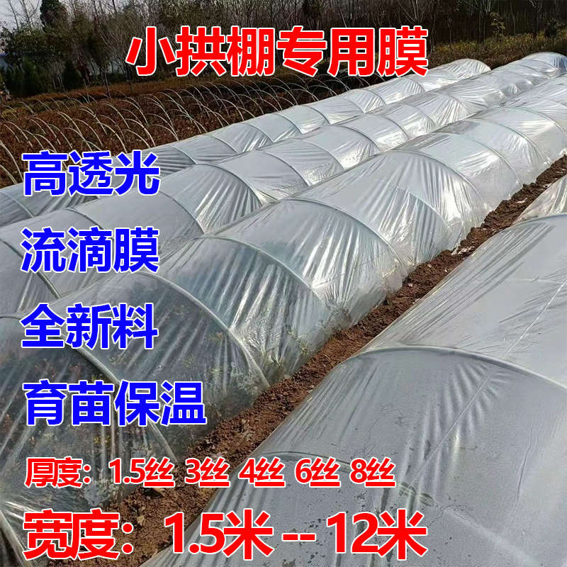 大棚内膜二膜二层膜中膜小拱棚透明白膜砂糖橘146s保温塑料薄膜