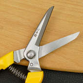 汪吾铨剪刀树枝剪不锈钢园艺剪刀花剪枝剪长头果树强力剪园林剪刀