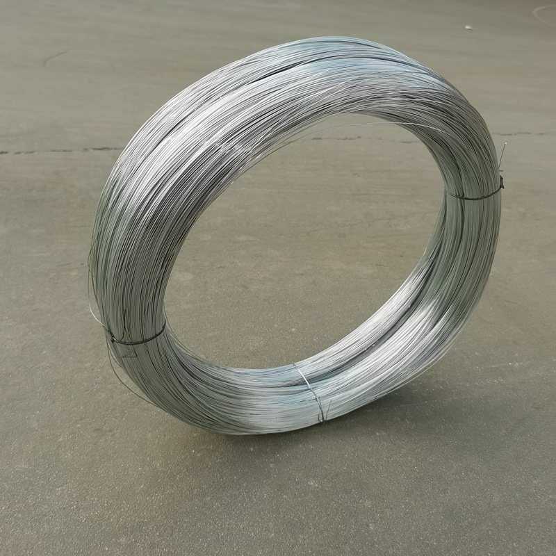 镀锌铁丝diy防锈挂窗帘绳家用固定手工工地建筑扎丝绑丝细铁丝线,鲜花速递/花卉仿真/绿植园艺,花艺材料,淘宝优惠券,粉丝福利购,淘宝优惠卷