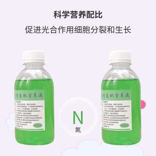 使君子花盆栽专用氮肥营养液室内阳台庭院重瓣爬藤绿植花卉养花