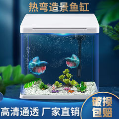 鱼缸家用创意小型水族箱水草缸懒人超白桌面缸免换水生态箱玻璃缸