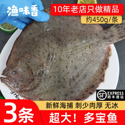 多宝鱼三条新鲜冷冻大号顺丰包邮