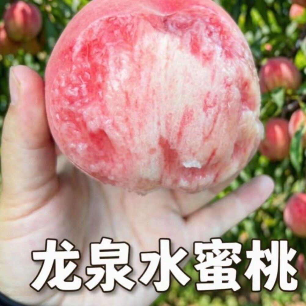 四川龙泉驿自家果园现摘水蜜桃爆汁当季新鲜水果毛桃子京东顺丰达