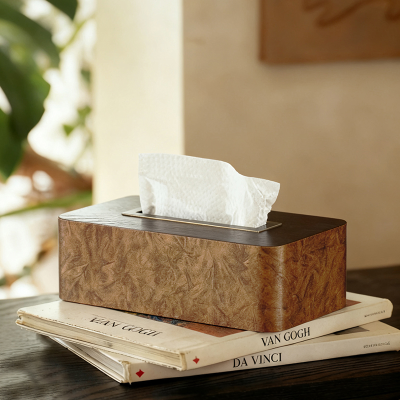 独家首发原创设计2024新款纸巾盒