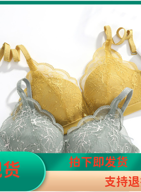 【列维斯蕾丝】安莉芳小胸厚杯聚拢无钢圈文胸女蕾丝内衣EB00273