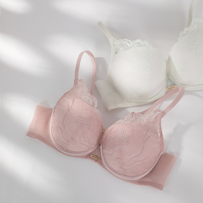 安莉芳专柜新品厚杯小胸聚拢文胸