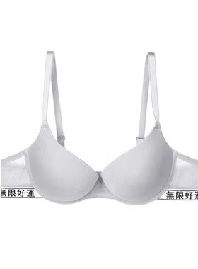 芬狄诗商场同款内衣女性感网纱有钢圈中厚杯小胸聚拢文胸FB00380