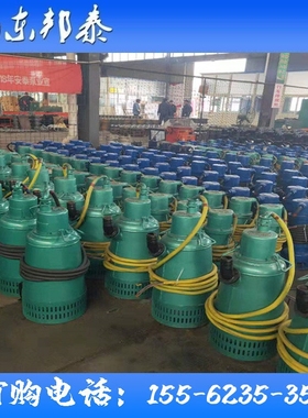 煤矿井下叶轮污泥抽水机五星BQS25-15-3/BKW铸铁矿用排污电动泵