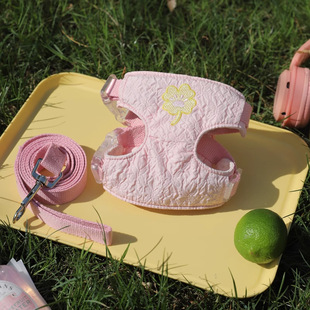 猫咪牵引绳防挣脱狗狗胸背带背包透气泰迪小型犬背心遛狗绳遛猫绳