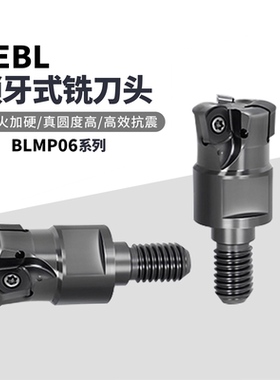 TEBL系列锁牙式铣刀头锁牙刀头切削低阻力BLMP06四刃双面刀片