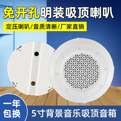 明装吸顶喇叭 定压喇叭 天花喇叭明装音响 防尘天花吊顶音箱