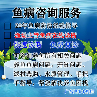 金鱼咨询服务 鱼病医生 鱼病咨询 鱼病诊断 水族观赏鱼病咨询服务