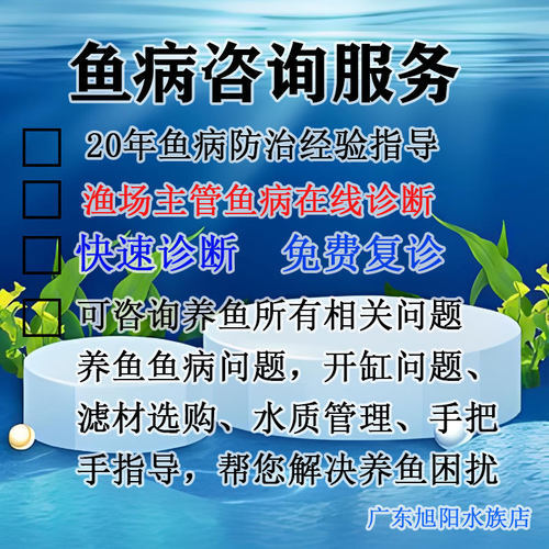 金鱼咨询服务 鱼病医生 鱼病咨询 鱼病诊断 水族观赏鱼病咨询服务