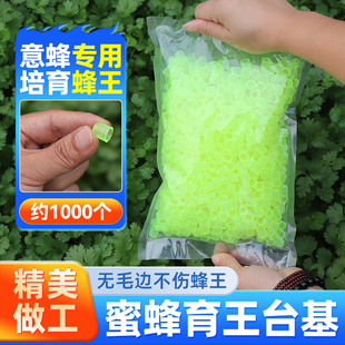 蜜蜂育王台基单个塑料王台杯意蜂专用人工育王台优质蜡碗养蜂工具