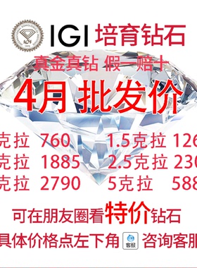 IGI实验室培育钻石18K金求婚钻戒定制人工人造合成钻石对戒耳钉