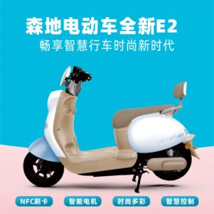 森地电动车原装正品60V成人通勤代步电摩电瓶车龟王女电动摩托车