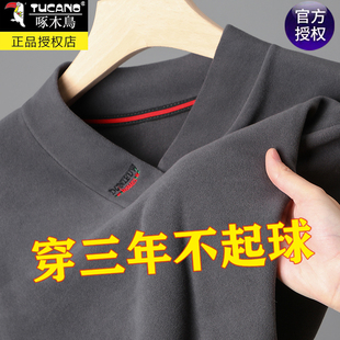 长袖 t恤V领秋衣德绒打底衫 男士 啄木鸟2023新款 休闲上衣保暖内衣潮