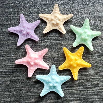 洞洞鞋鞋扣配饰仿真海星鞋花