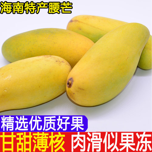 海南腰芒象牙芒薄皮薄核甘甜多汁