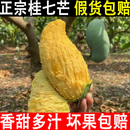 广西百色桂七芒10斤 水果新鲜当季现摘热带特产整箱大芒果5斤包邮