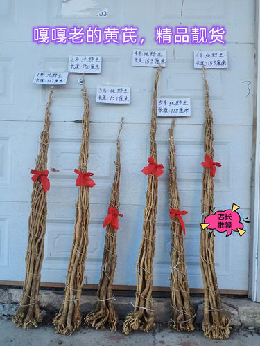 东北野整根整条发货黄芪
