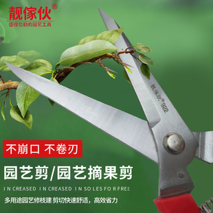 台湾靓傢伙修枝剪加长多用途园艺果树园林庭院盆栽摘果剪专用工具