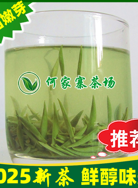 毛尖茶叶信阳毛尖2025新茶雨前茶特级嫩芽浓香型绿茶散装春茶500g