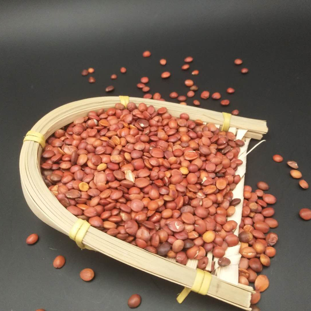 酸枣仁助眠中药材生酸枣仁可炒熟磨粉安神助眠正品国产酸枣仁