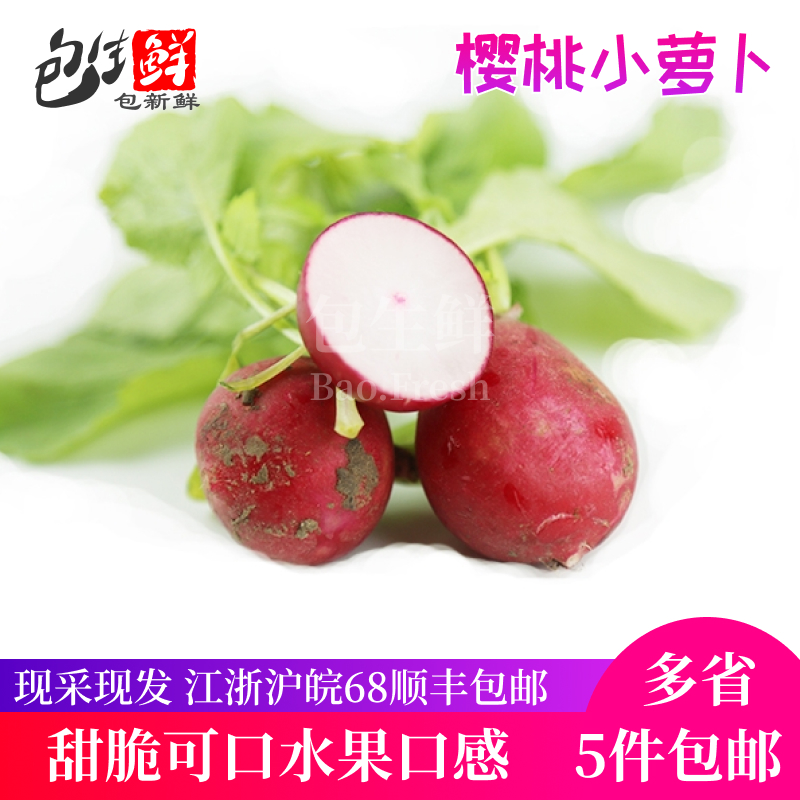 新鲜樱桃萝卜500g 迷你小萝卜圆红萝卜洋花萝卜沙拉菜