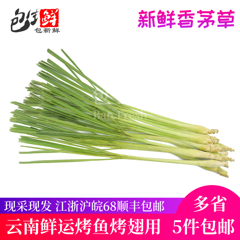 新鲜香茅草 500g 包茅 柠檬草 卤菜调味 叶长10-15cm 约10-15根