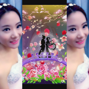 花海七夕直播礼物 svga直播礼物 大型花海粉色 浪漫剪影爱情礼物