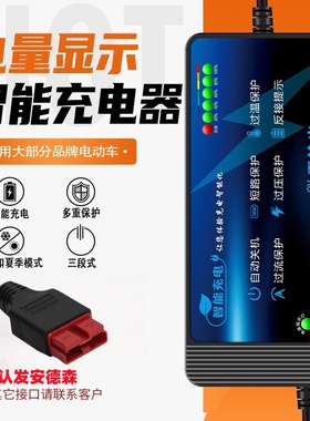 电动车游乐车户外电源房车12V24V36VA大功率充电器自动关机防充鼓