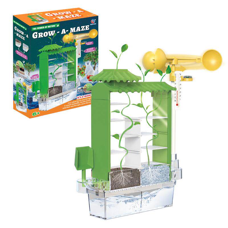 植物迷宫diy种子材料包