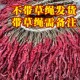 特香贵州大方特产皱椒鸡爪辣二荆条海椒长辣椒肉厚微辣干辣椒 包邮
