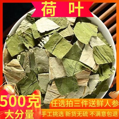 荷叶茶500g包邮产地直销微山湖