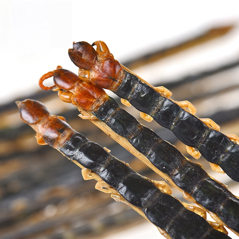 精选湖北红头蜈蚣长14-15公分 中药材蜈蚣干货正品大蜈蚣50条包邮