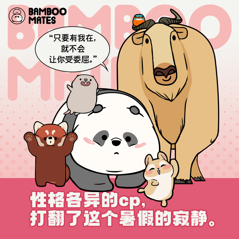 每天都想见到你BAMBOOMATES