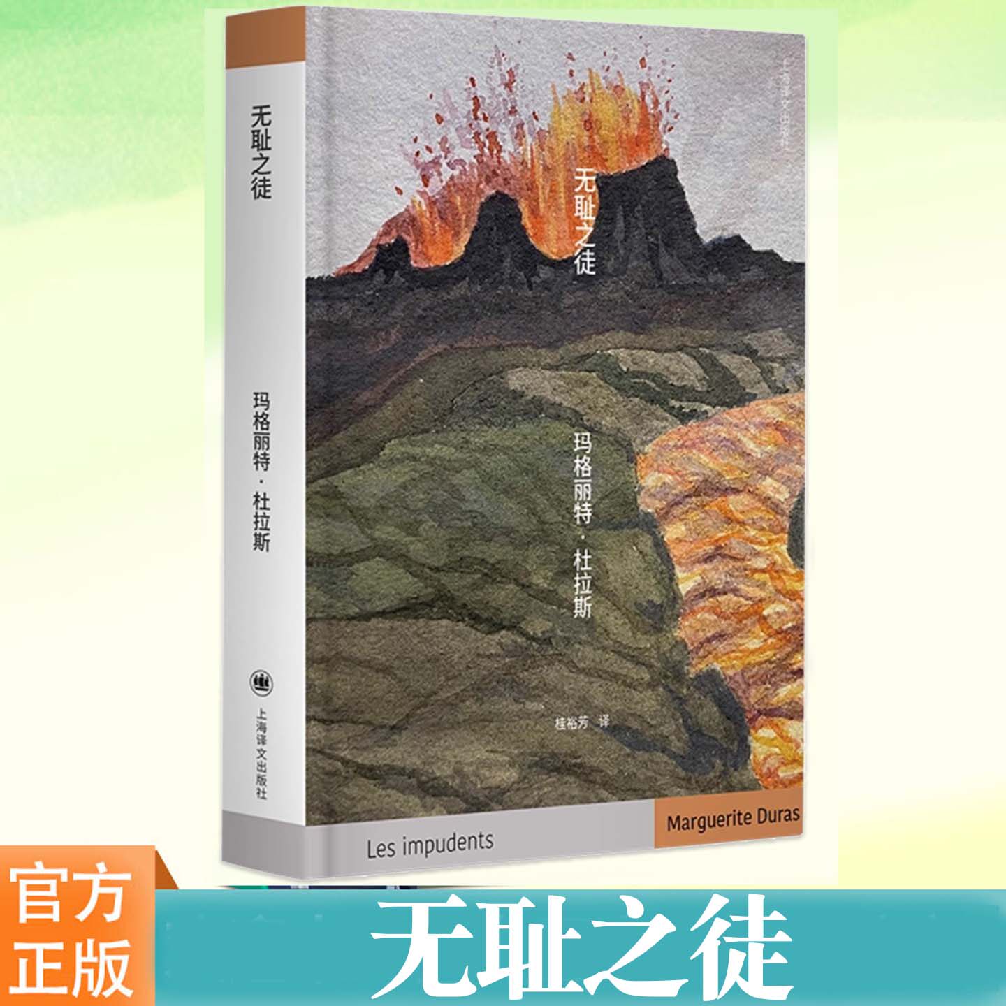 无耻之徒 杜拉斯便携口袋本系列 杜拉斯小说作品“成为杜拉斯”的起点《情人》的预演 女性开始发声书写自我的起点 复杂的家庭故事