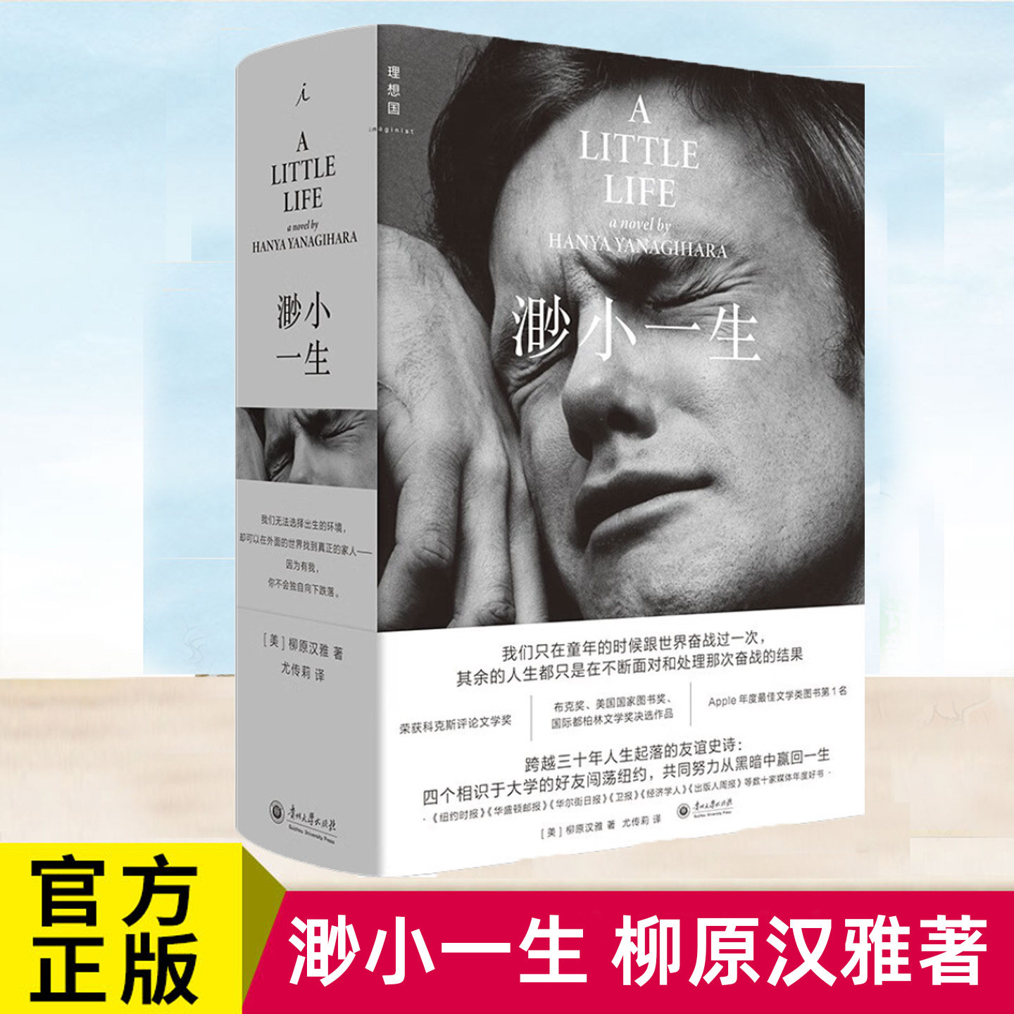 现货正版 渺小一生 柳原汉雅著 跨越三十年的友情史诗 焦虑时代城市打拼编年史 外国文学长篇小说书 理想国