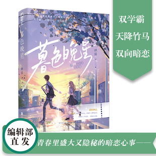 正版 栖遥 青春文学校园暗恋初恋双学霸天降竹马双向暗恋言情小说实体书籍 暮色晚星