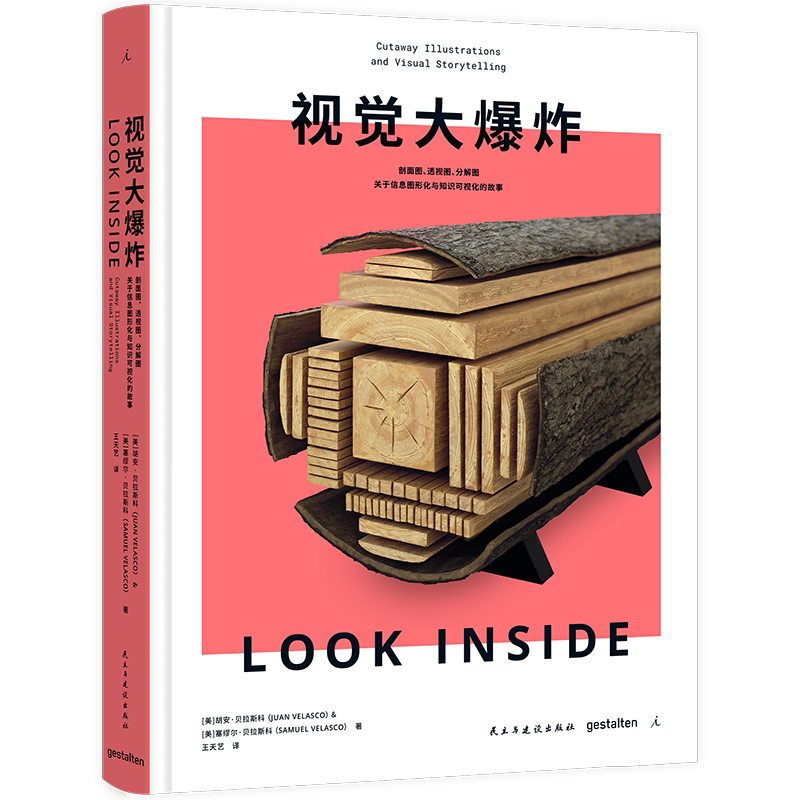 视觉大爆炸胡安·贝拉斯科
