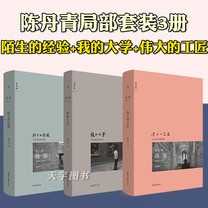 正版 陈丹青局部套装1-2-3 陌生的经验(新版)+我的大学+伟大的工匠 美学中西艺术理论的书籍 西方艺术史纽约琐记退步集 理想国