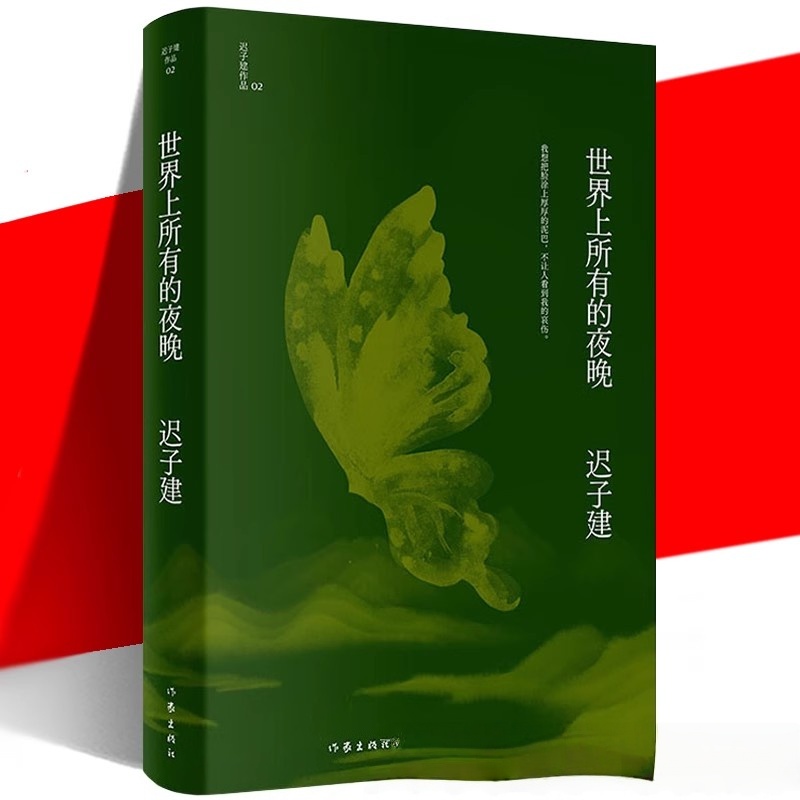 正版世界所有夜晚迟子建作品