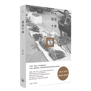 正版 梁庄十年 梁鸿 著 中国村庄的变迁 中国在梁庄 当代纪实文学作品书籍 农民工女性 家庭暴力 留守 贾樟柯 打工人 理想国