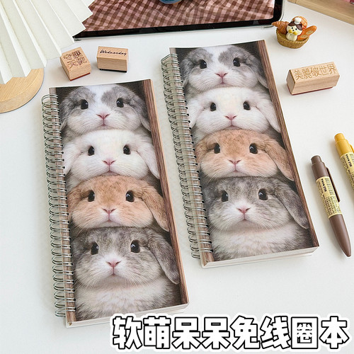 治愈系呆呆兔A6线圈本