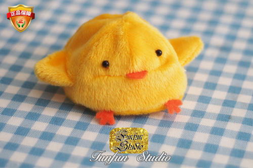 这里万能自由FunFunStudio