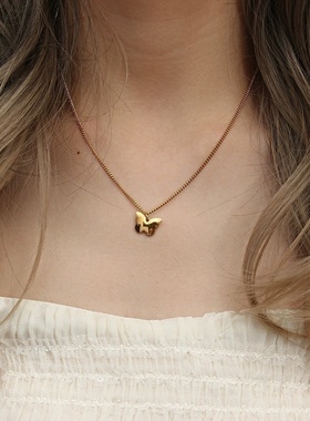 欧美ins摩登个性流行项坠饰品女 小众潮流不锈钢光面蝴蝶吊坠项链